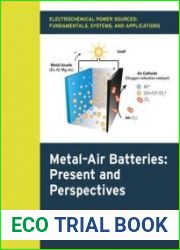 Electrochemical Power Sources Fundamentals, Systems, and Applications Metal–Air Batteries Present and Perspectives