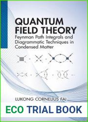 Quantum Field Theory Feynman Path Integrals and Diagrammatic Techniques in Condensed Matter