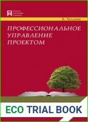 Профессиональное управление проектом