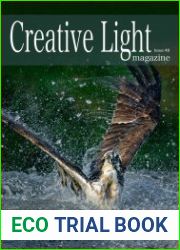 Creative Light