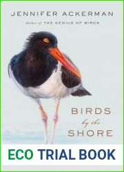 Birds by the Shore Observing the Natural Life of the Atlantic Coast