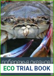 Побережья океанов. Жизнь в песке и на скалах