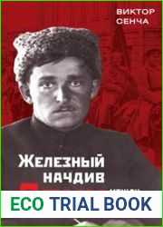 Железный начдив Азин. Между красными и белыми