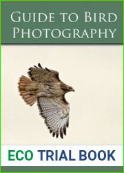 Guide to Photographing Birds