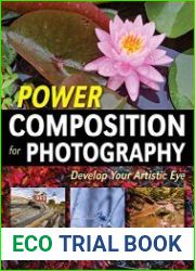 Power Composition for Photography Develop Your Artistic Eye