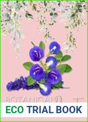 Botanical Pigment Simple Dye Strategies And Step By Step Flower To Print Project