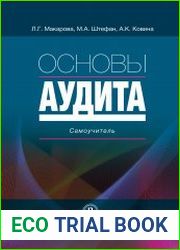 Основы аудита. Самоучитель