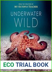 Underwater Wild My Octopus Teacher|s Extraordinary World