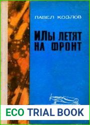 ИЛы летят на фронт