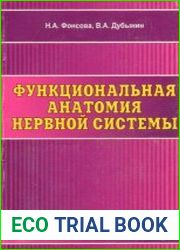 Функциональная анатомия нервной системы
