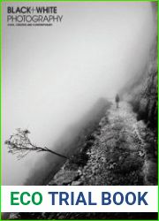 Black + White Photography