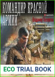 Офицер Красной Армии