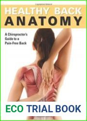 Healthy Back Anatomy A Chiropractor|s Guide to a Pain-Free Back