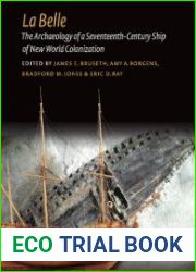 La Belle The Archaeology of a Seventeenth-Century Vessel of New World Colonization