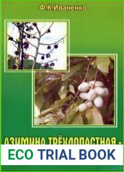 Азимина трёхлопастная - американская Pawpaw