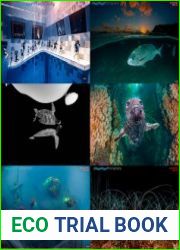 Underwater Photography