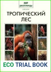 Тропический лес
