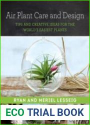 Air Plant Care and Design Tips and Creative Ideas for the World|s Easiest Plants