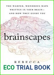 Brainscapes The Warped, Wondrous Maps Written in Your Brain - and How They Guide You