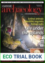 Current Archaeology 2011-12 (261)