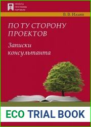 По ту сторону проектов. Записки консультанта