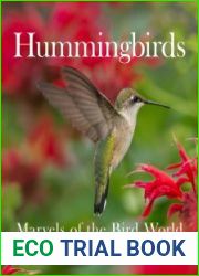 Hummingbirds Marvels of the Bird World