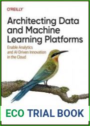Architecting Data and Machine Learning Platforms Enable Analytics and AI-Driven Innovation in the Cloud (Final)
