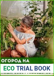 Огород на подоконнике пошаговое руководство