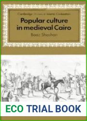 Popular Culture in Medieval Cairo