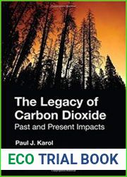 The Legacy of Carbon Dioxide Past and Present Impacts