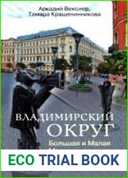 Владимирский округ. Большая и Малая Московские улицы и улица Правды