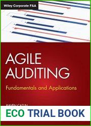 Agile Auditing Fundamentals and Applications