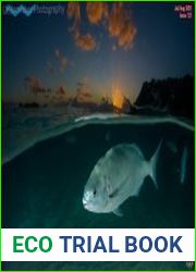 Underwater Photography
