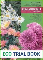 Хризантемы корейские
