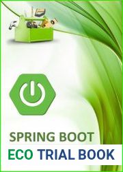 Spring Boot - Accessories