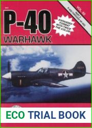 P-40 Warhawk (Part 2) in detail & scale