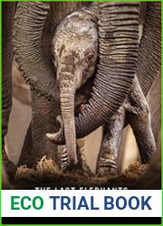 The Last Elephants