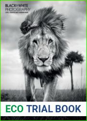 Black + White Photography