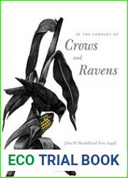 In the Company of Crows and Ravens