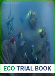 Underwater Photography
