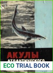 Акулы Атлантического океана