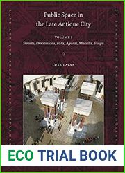 Public Space in the Late Antique City (Late Antique Archaeology)