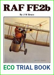 RAF FE2b (Windsock Datafile 18)