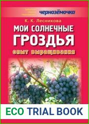 Мои солнечные гроздья. Опыт выращивания