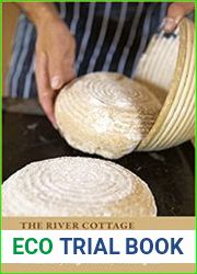 The River Cottage Bread Handbook