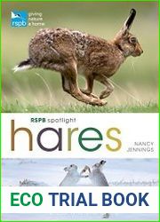 RSPB Spotlight Hares