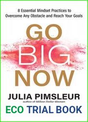 Go Big Now 8 Essential Mindset Practices to Overcome Any Obstacle and Reach Your Goals