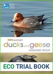 RSPB Spotlight Ducks and Geese