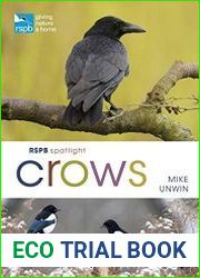 RSPB Spotlight Crows