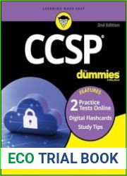 CCSP For Dummies Book + 2 Practice Tests + 100 Flashcards Online, 2nd Edition